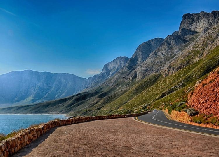 The best cars for your South African road trip缩略图