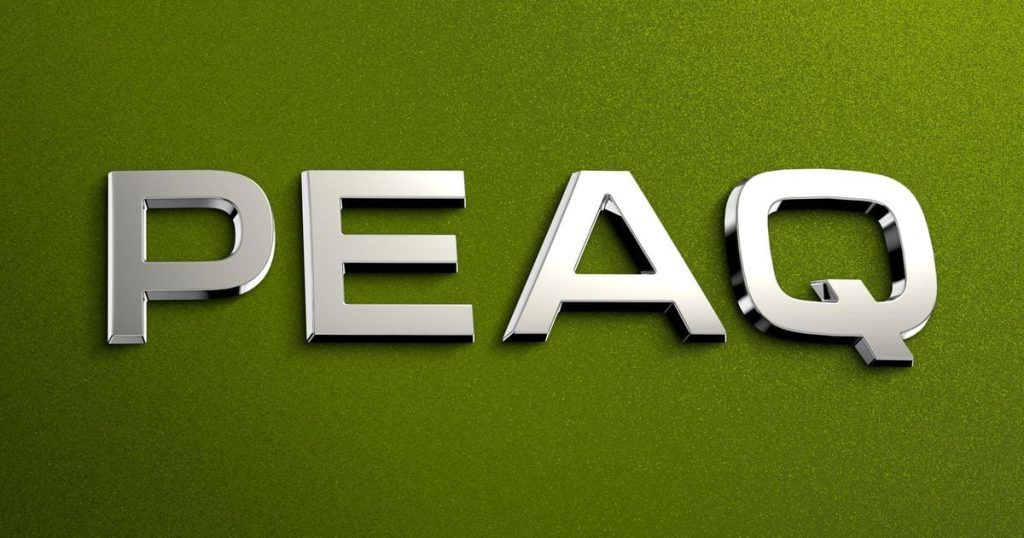 2027 Skoda Peaq: Upcoming flagship EV named