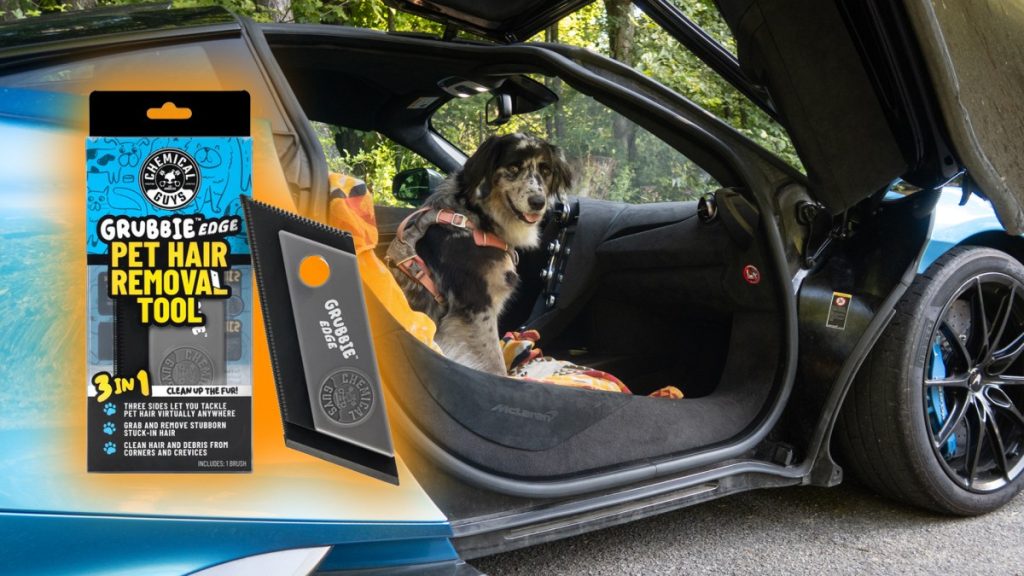 Drive With a Dog? This Pet Hair Remover Works Great