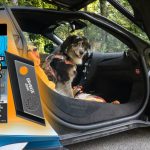 Drive With a Dog? This Pet Hair Remover Works Great